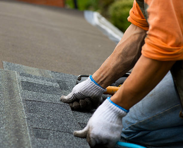 Best Local Roofing Companies  in Lindenhurst, IL